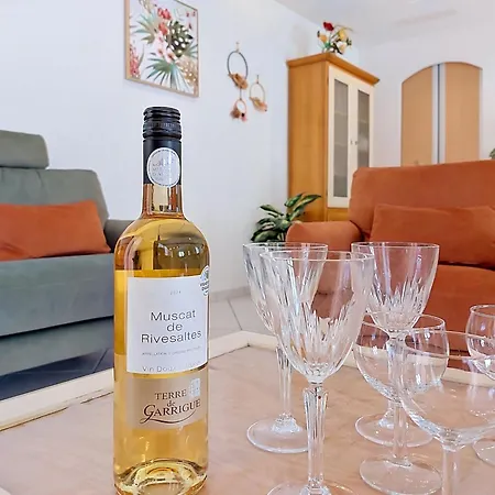 Ladine By Interhome Le Barcarès